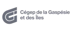 logo-x702
